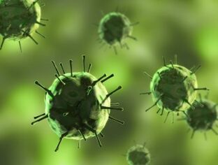 Bacterii care provoacă boli în care apar secreții mucoase