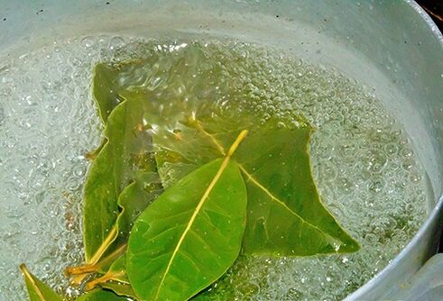 Un decoct de frunze de dafin pentru o baie relaxantă pentru probleme de potență